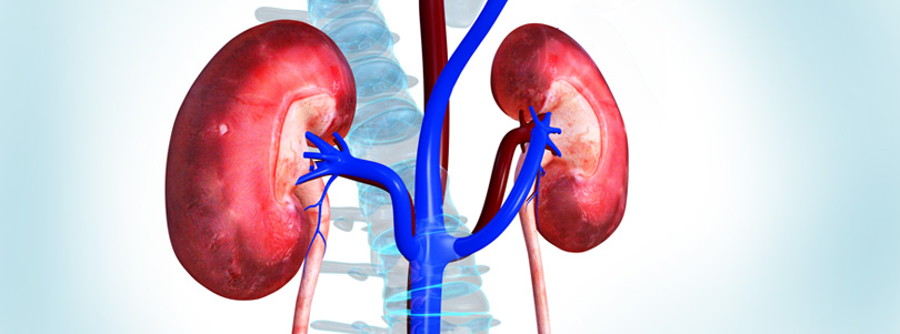 Nephrologie