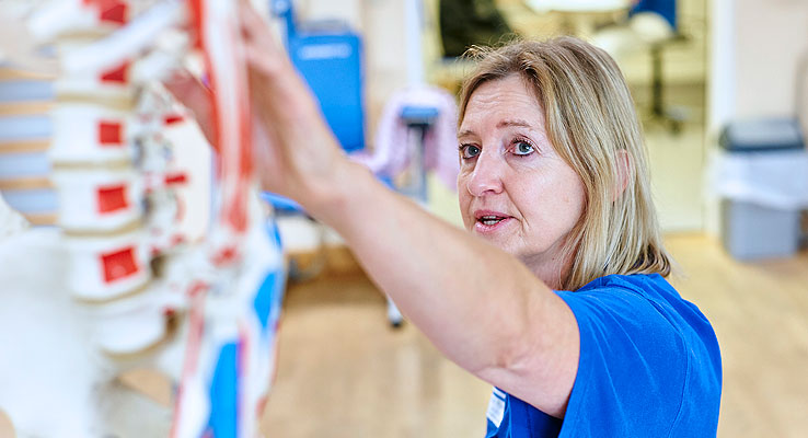 Physiotherapie - Erklärung am Modell